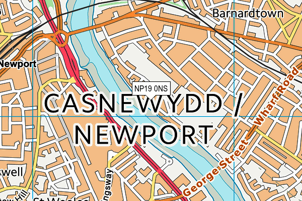 NP19 0NS map - OS VectorMap District (Ordnance Survey) NP19 0NS map - OS VectorMap District (Ordnance Survey)