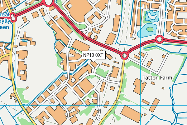 NP19 0XT map - OS VectorMap District (Ordnance Survey) NP19 0XT map - OS VectorMap District (Ordnance Survey)