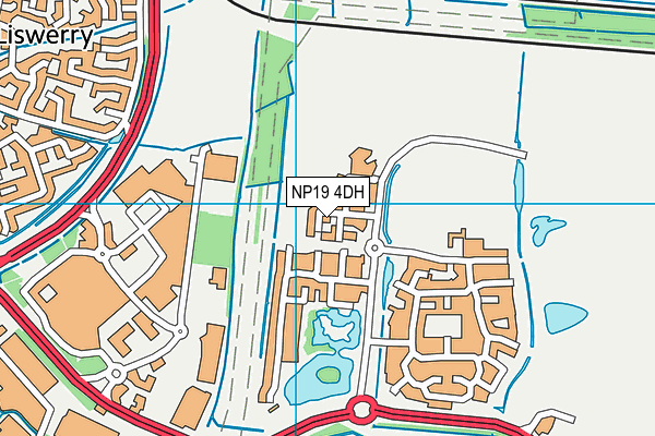 NP19 4DH map - OS VectorMap District (Ordnance Survey)