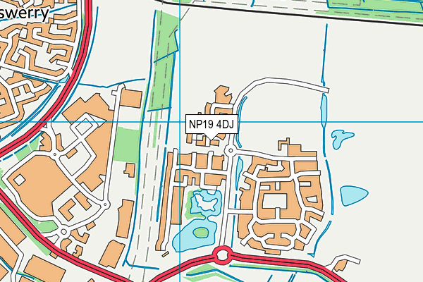 NP19 4DJ map - OS VectorMap District (Ordnance Survey) NP19 4DJ map - OS VectorMap District (Ordnance Survey)