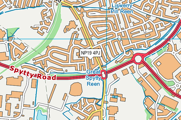 NP19 4PJ map - OS VectorMap District (Ordnance Survey) NP19 4PJ map - OS VectorMap District (Ordnance Survey)