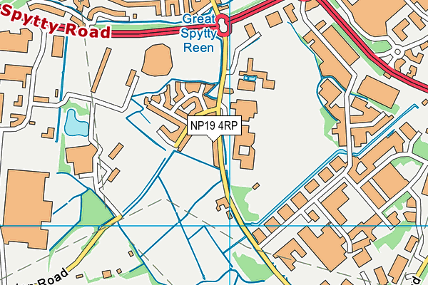 NP19 4RP map - OS VectorMap District (Ordnance Survey) NP19 4RP map - OS VectorMap District (Ordnance Survey)