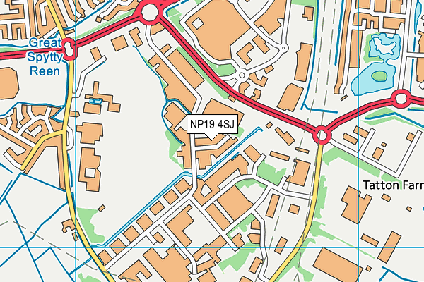 NP19 4SJ map - OS VectorMap District (Ordnance Survey) NP19 4SJ map - OS VectorMap District (Ordnance Survey)
