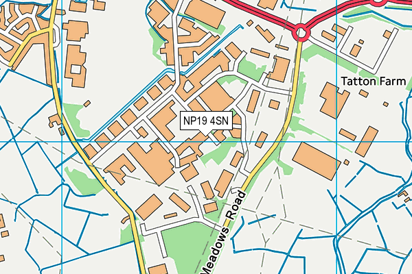 NP19 4SN map - OS VectorMap District (Ordnance Survey) NP19 4SN map - OS VectorMap District (Ordnance Survey)