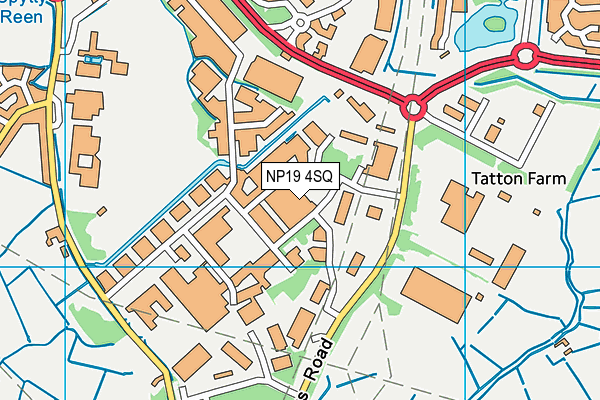 NP19 4SQ map - OS VectorMap District (Ordnance Survey)