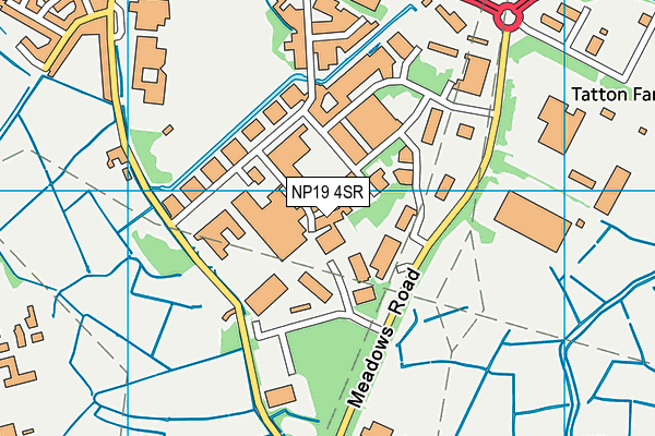 NP19 4SR map - OS VectorMap District (Ordnance Survey) NP19 4SR map - OS VectorMap District (Ordnance Survey)
