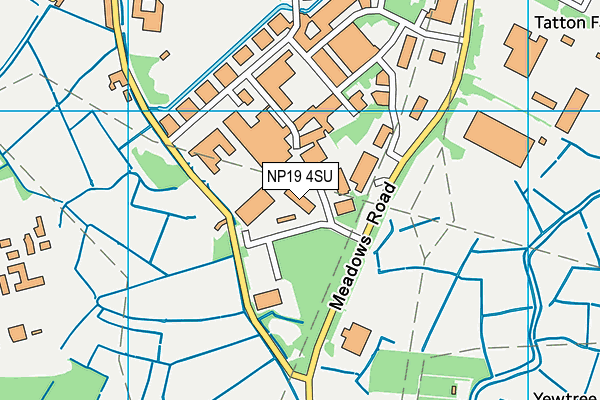 NP19 4SU map - OS VectorMap District (Ordnance Survey) NP19 4SU map - OS VectorMap District (Ordnance Survey)