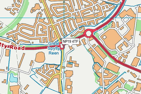 NP19 4TF map - OS VectorMap District (Ordnance Survey) NP19 4TF map - OS VectorMap District (Ordnance Survey)