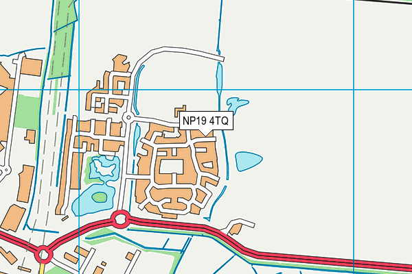NP19 4TQ map - OS VectorMap District (Ordnance Survey) NP19 4TQ map - OS VectorMap District (Ordnance Survey)