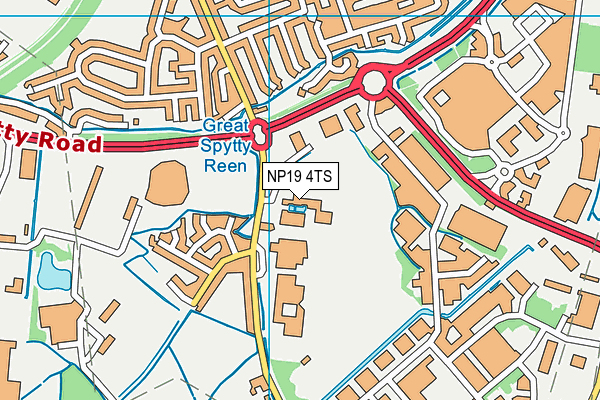 NP19 4TS map - OS VectorMap District (Ordnance Survey) NP19 4TS map - OS VectorMap District (Ordnance Survey)