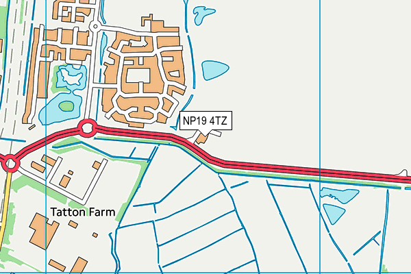 NP19 4TZ map - OS VectorMap District (Ordnance Survey) NP19 4TZ map - OS VectorMap District (Ordnance Survey)