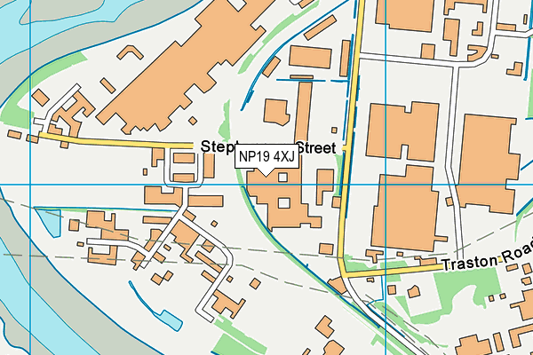NP19 4XJ map - OS VectorMap District (Ordnance Survey) NP19 4XJ map - OS VectorMap District (Ordnance Survey)