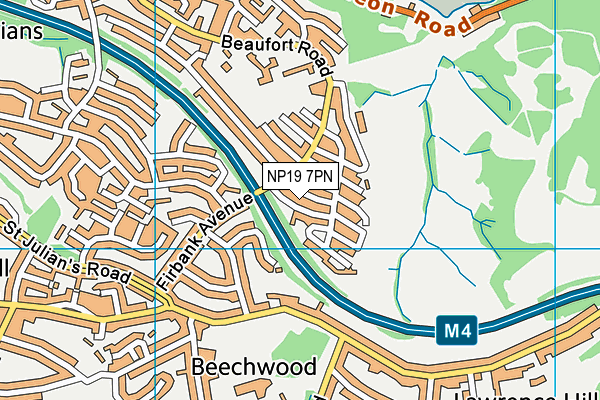 NP19 7PN map - OS VectorMap District (Ordnance Survey) NP19 7PN map - OS VectorMap District (Ordnance Survey)