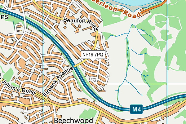 NP19 7PQ map - OS VectorMap District (Ordnance Survey) NP19 7PQ map - OS VectorMap District (Ordnance Survey)