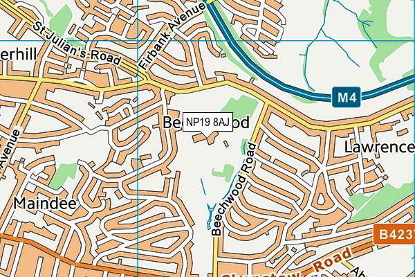 NP19 8AJ map - OS VectorMap District (Ordnance Survey) NP19 8AJ map - OS VectorMap District (Ordnance Survey)