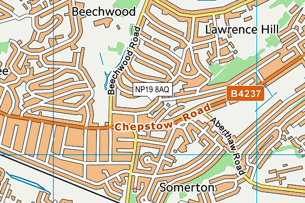 NP19 8AQ map - OS VectorMap District (Ordnance Survey) NP19 8AQ map - OS VectorMap District (Ordnance Survey)