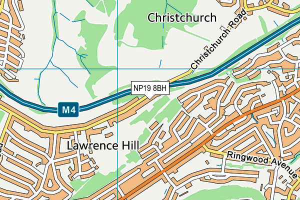 NP19 8BH map - OS VectorMap District (Ordnance Survey) NP19 8BH map - OS VectorMap District (Ordnance Survey)