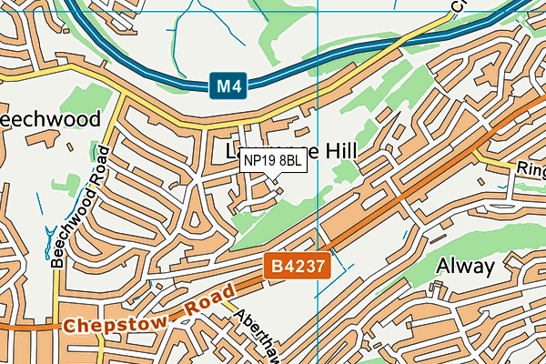 NP19 8BL map - OS VectorMap District (Ordnance Survey) NP19 8BL map - OS VectorMap District (Ordnance Survey)