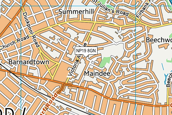 NP19 8GN map - OS VectorMap District (Ordnance Survey) NP19 8GN map - OS VectorMap District (Ordnance Survey)