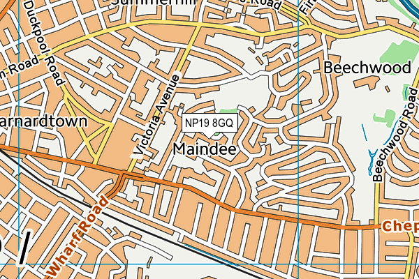 NP19 8GQ map - OS VectorMap District (Ordnance Survey) NP19 8GQ map - OS VectorMap District (Ordnance Survey)
