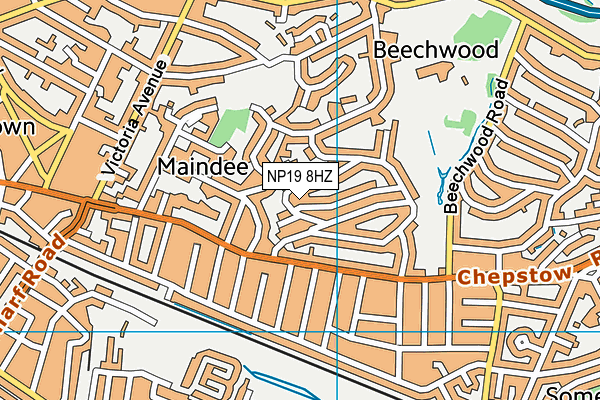 NP19 8HZ map - OS VectorMap District (Ordnance Survey) NP19 8HZ map - OS VectorMap District (Ordnance Survey)