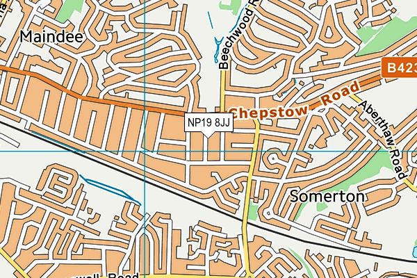 NP19 8JJ map - OS VectorMap District (Ordnance Survey) NP19 8JJ map - OS VectorMap District (Ordnance Survey)