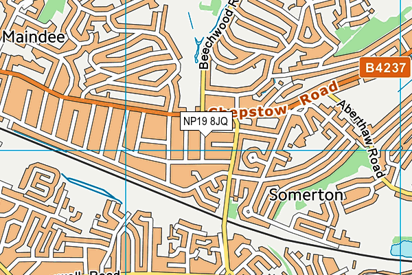 NP19 8JQ map - OS VectorMap District (Ordnance Survey) NP19 8JQ map - OS VectorMap District (Ordnance Survey)