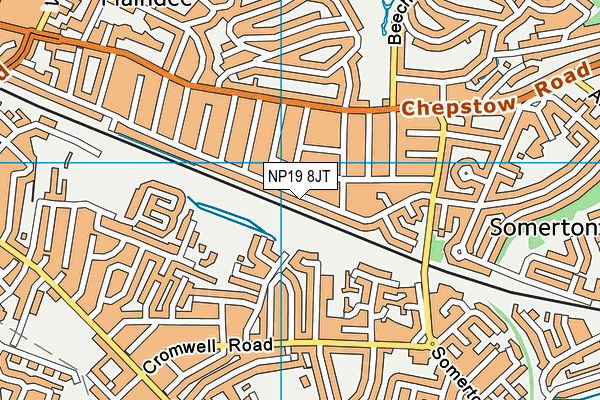 NP19 8JT map - OS VectorMap District (Ordnance Survey) NP19 8JT map - OS VectorMap District (Ordnance Survey)