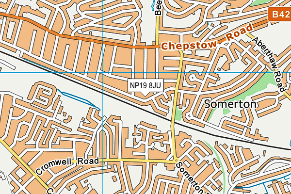 NP19 8JU map - OS VectorMap District (Ordnance Survey) NP19 8JU map - OS VectorMap District (Ordnance Survey)