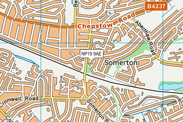 NP19 9AE map - OS VectorMap District (Ordnance Survey) NP19 9AE map - OS VectorMap District (Ordnance Survey)