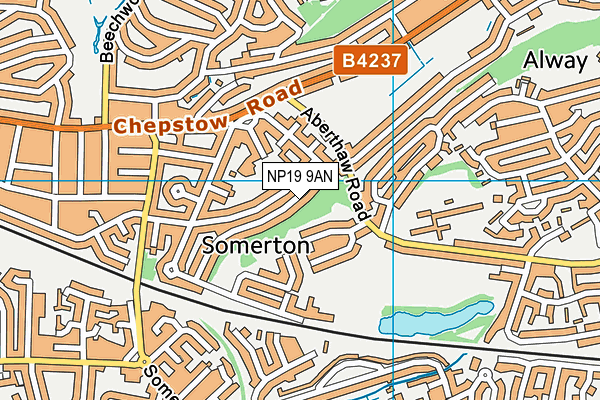 NP19 9AN map - OS VectorMap District (Ordnance Survey) NP19 9AN map - OS VectorMap District (Ordnance Survey)