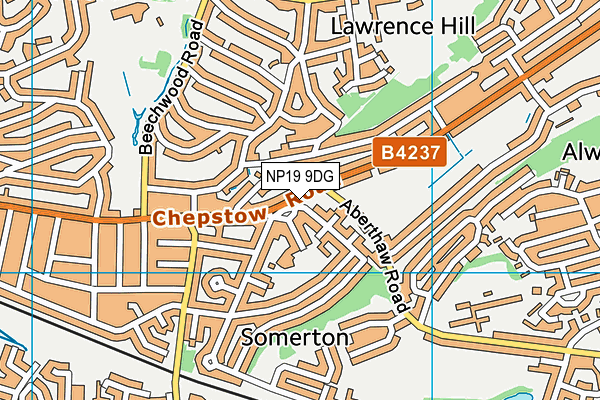 NP19 9DG map - OS VectorMap District (Ordnance Survey) NP19 9DG map - OS VectorMap District (Ordnance Survey)