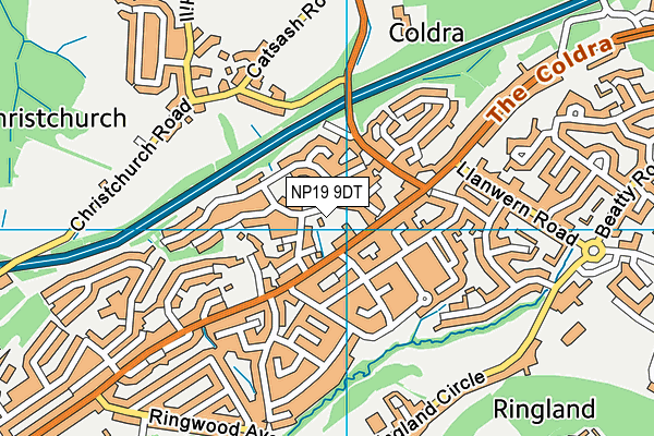 NP19 9DT map - OS VectorMap District (Ordnance Survey) NP19 9DT map - OS VectorMap District (Ordnance Survey)