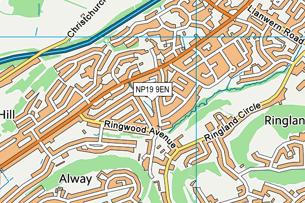 NP19 9EN map - OS VectorMap District (Ordnance Survey) NP19 9EN map - OS VectorMap District (Ordnance Survey)
