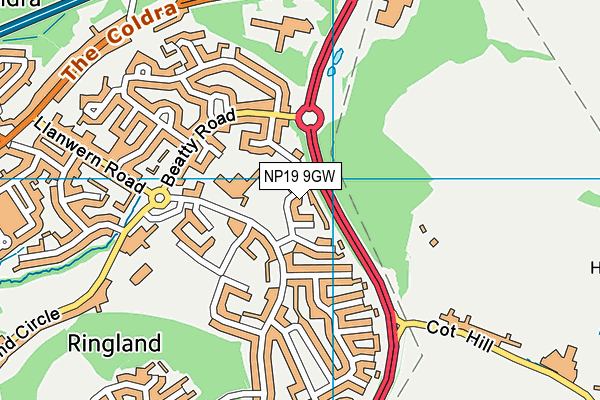 NP19 9GW map - OS VectorMap District (Ordnance Survey) NP19 9GW map - OS VectorMap District (Ordnance Survey)