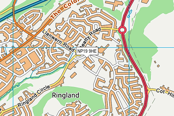 NP19 9HE map - OS VectorMap District (Ordnance Survey) NP19 9HE map - OS VectorMap District (Ordnance Survey)