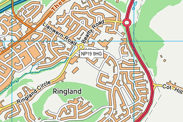 NP19 9HG map - OS VectorMap District (Ordnance Survey) NP19 9HG map - OS VectorMap District (Ordnance Survey)