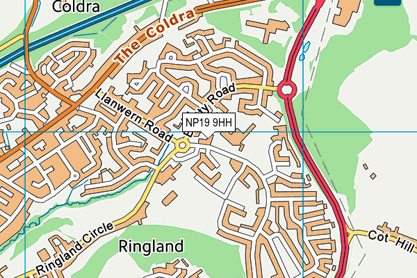NP19 9HH map - OS VectorMap District (Ordnance Survey) NP19 9HH map - OS VectorMap District (Ordnance Survey)