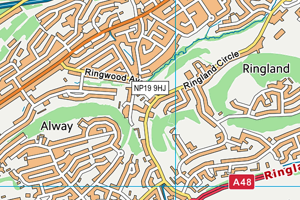 NP19 9HJ map - OS VectorMap District (Ordnance Survey) NP19 9HJ map - OS VectorMap District (Ordnance Survey)