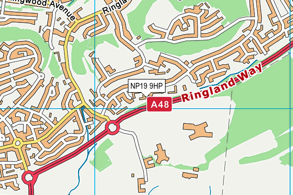NP19 9HP map - OS VectorMap District (Ordnance Survey)