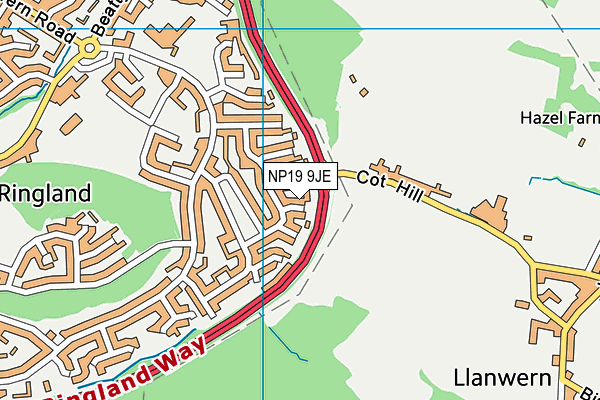 NP19 9JE map - OS VectorMap District (Ordnance Survey) NP19 9JE map - OS VectorMap District (Ordnance Survey)