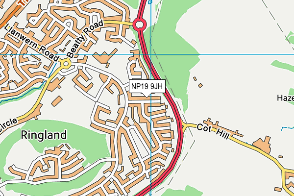 NP19 9JH map - OS VectorMap District (Ordnance Survey) NP19 9JH map - OS VectorMap District (Ordnance Survey)