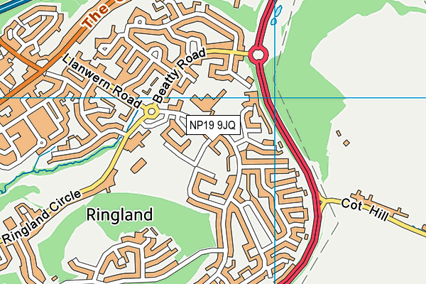 NP19 9JQ map - OS VectorMap District (Ordnance Survey) NP19 9JQ map - OS VectorMap District (Ordnance Survey)