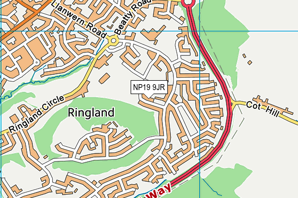 NP19 9JR map - OS VectorMap District (Ordnance Survey) NP19 9JR map - OS VectorMap District (Ordnance Survey)