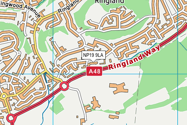 NP19 9LA map - OS VectorMap District (Ordnance Survey) NP19 9LA map - OS VectorMap District (Ordnance Survey)