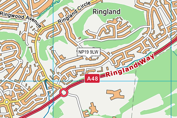 NP19 9LW map - OS VectorMap District (Ordnance Survey) NP19 9LW map - OS VectorMap District (Ordnance Survey)