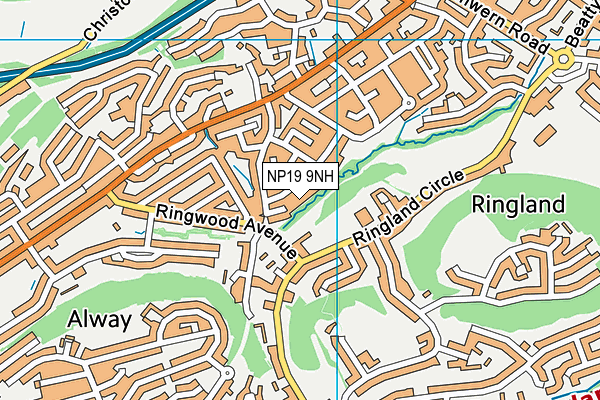 NP19 9NH map - OS VectorMap District (Ordnance Survey)