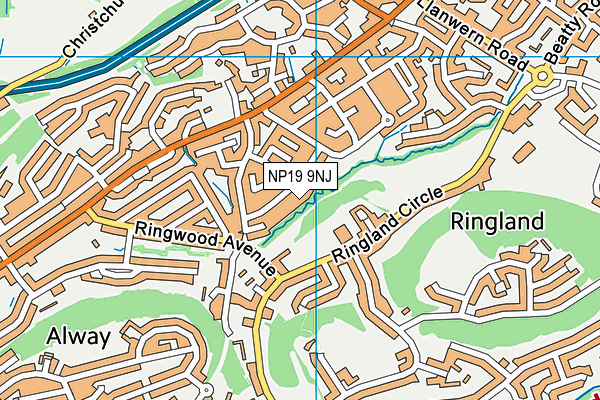 NP19 9NJ map - OS VectorMap District (Ordnance Survey) NP19 9NJ map - OS VectorMap District (Ordnance Survey)