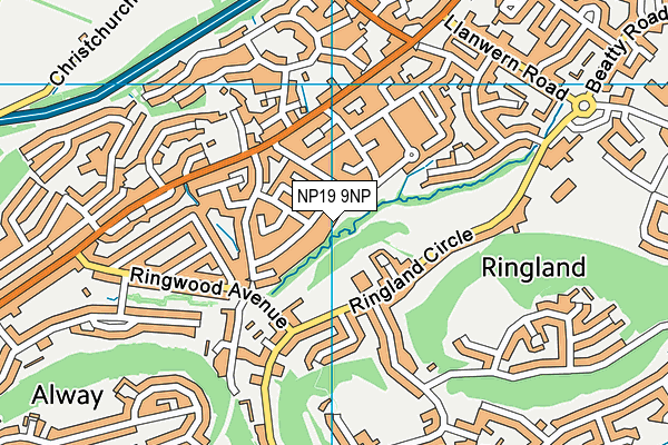 NP19 9NP map - OS VectorMap District (Ordnance Survey) NP19 9NP map - OS VectorMap District (Ordnance Survey)