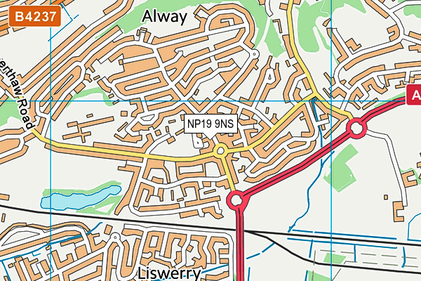 NP19 9NS map - OS VectorMap District (Ordnance Survey) NP19 9NS map - OS VectorMap District (Ordnance Survey)